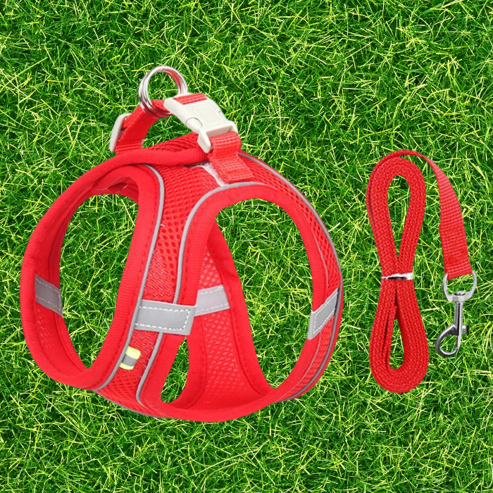 Lightweight Harness and Leash Set