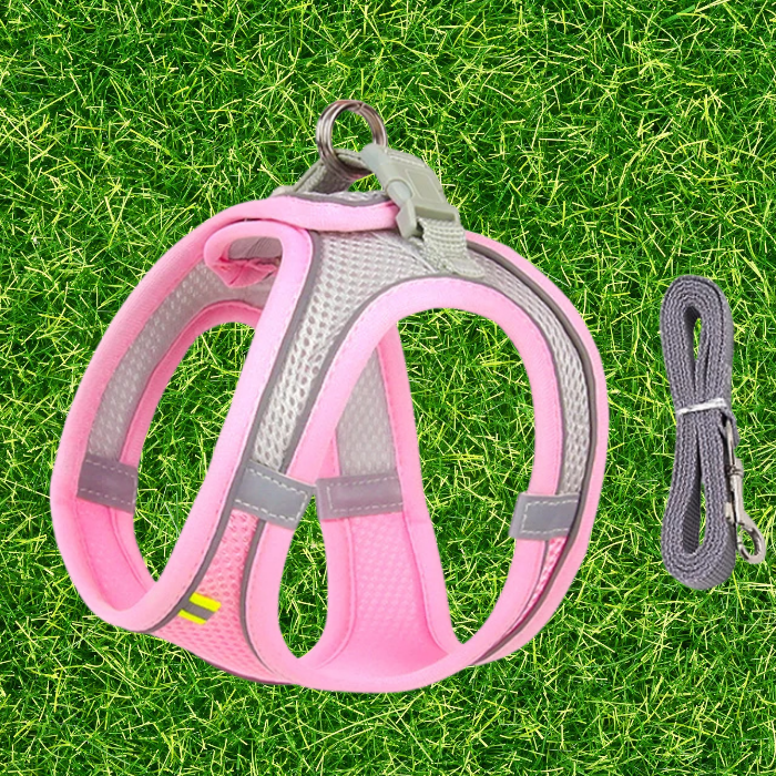 Lightweight Harness and Leash Set