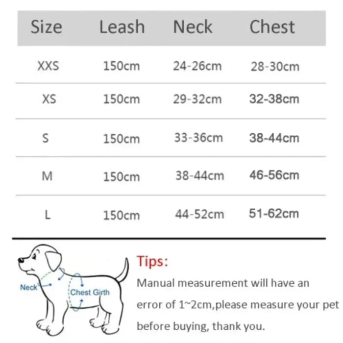 Lightweight Harness and Leash Set