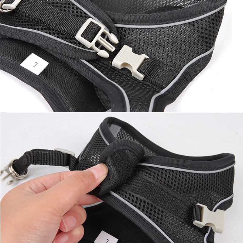 Lightweight Harness and Leash Set
