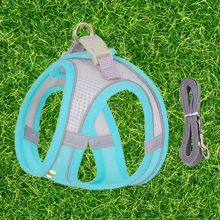 Lightweight Harness and Leash Set