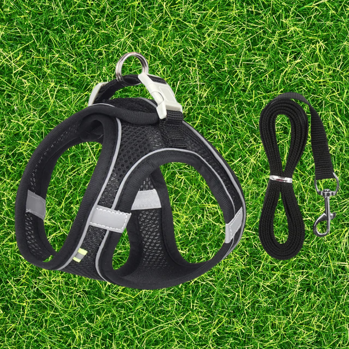 Lightweight Harness and Leash Set