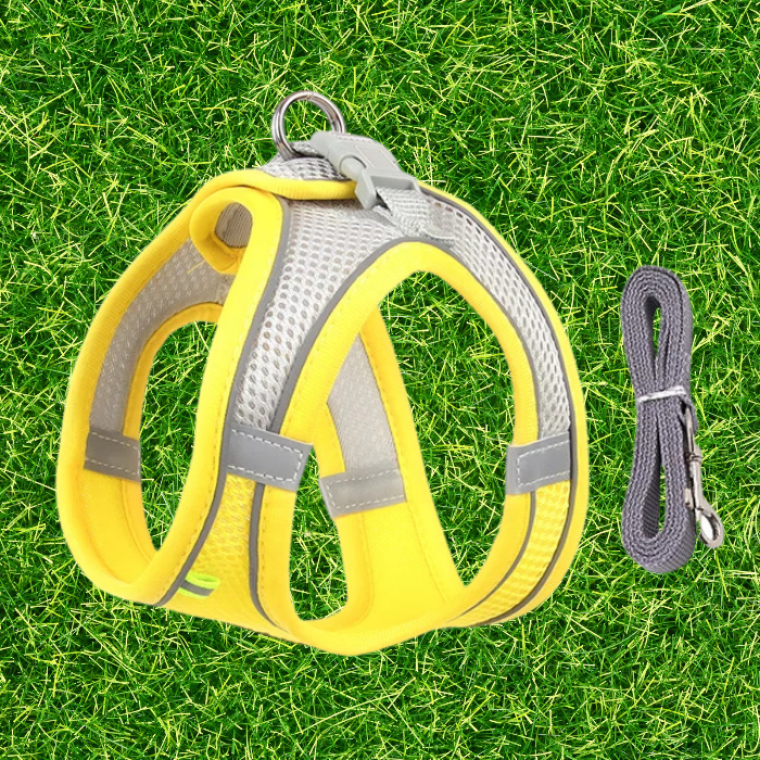 Lightweight Harness and Leash Set